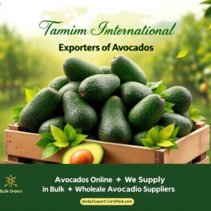 Buy Hass Avocados Online