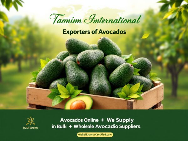 Buy Hass Avocados Online