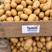 Bulk Exporters of Potatoes