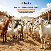 Buy Boer Goats Online