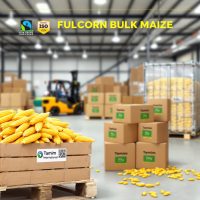 Buy corn online