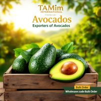 Buy Hass Avocados online