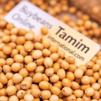 Buy Soybeans Online In bulk