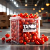 Exporters of Fresh Tomatoes