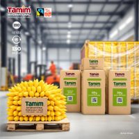 Wholesale Corn Exporters