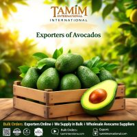 Exporters of Hass Avocados