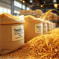 Exporters of Wheat