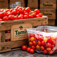 Wholesale Suppliers of Tomatoes