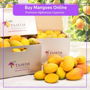 Buy Alphonso Mangoes Online