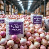 Onions Exporters
