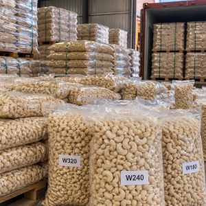 Raw Cashew Nuts and Cashew Kernels