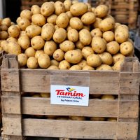 Exporters of Potatoes
