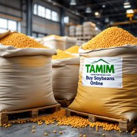 Reliable Suppliers of Soybeans