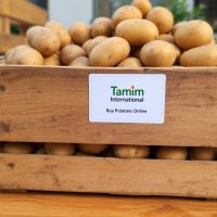 Wholesale Supplier Of Potatoes