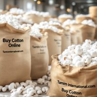 Wholesale Suppliers of Cotton