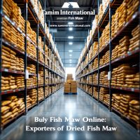 Wholesale exporters of fish maw