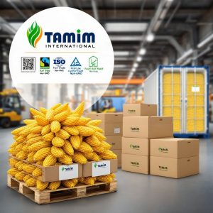 Buy Corn Online
