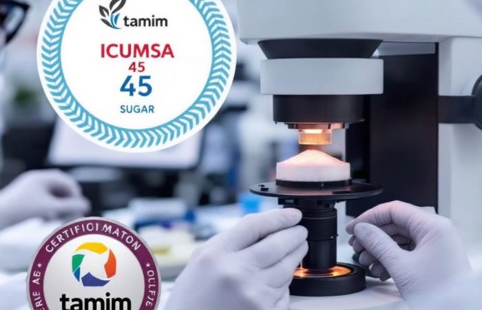 Sugar Export Profits in 2024: How to Navigate ICUMSA 45 Pricing and Global Demand